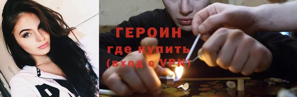 прущие грибы Новочеркасск